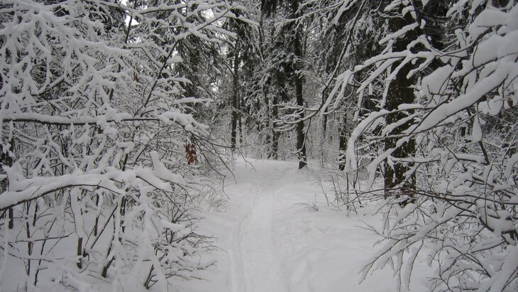 Группа туристов пропала на пермской горе Ослянка