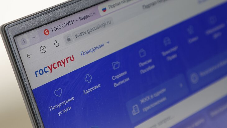 Сервис для проверки нянь может появиться на портале «Госуслуги»