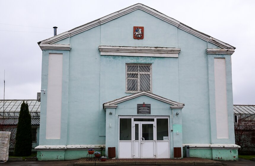 Цветы для Москвы: что будет расти летом на клумбах 37 фото