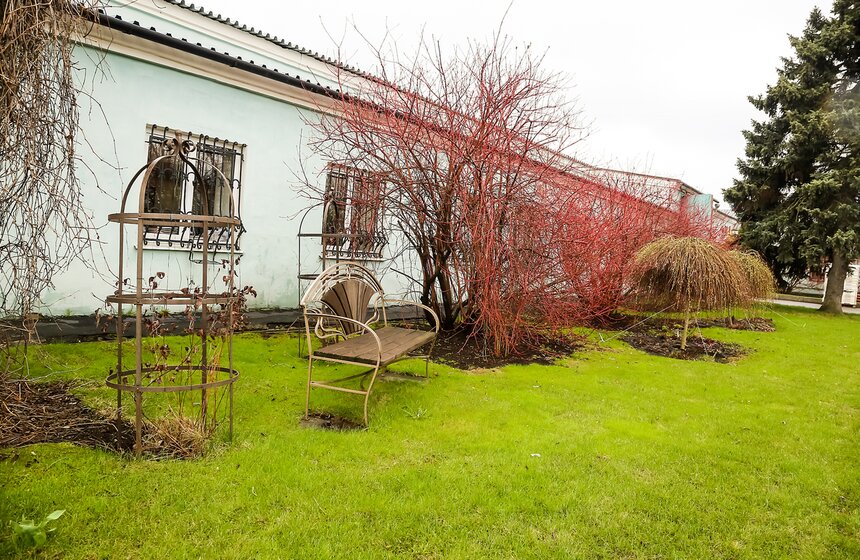 Цветы для Москвы: что будет расти летом на клумбах 36 фото