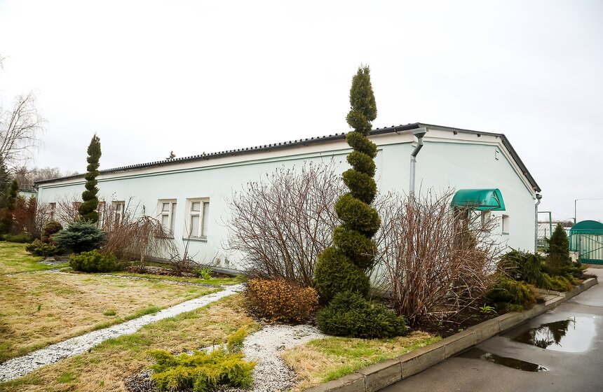 Цветы для Москвы: что будет расти летом на клумбах 35 фото