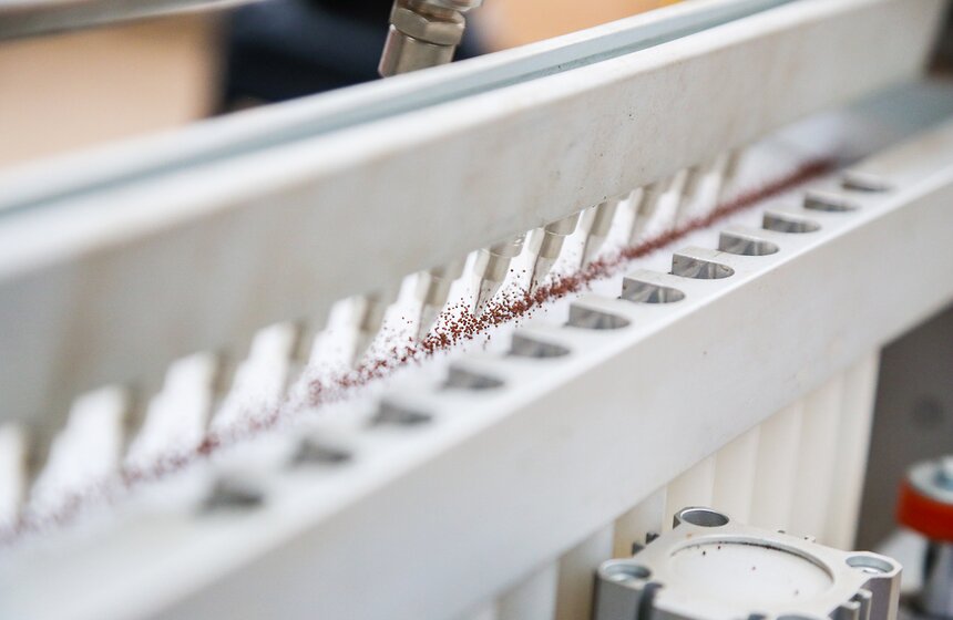 Цветы для Москвы: что будет расти летом на клумбах 8 фото