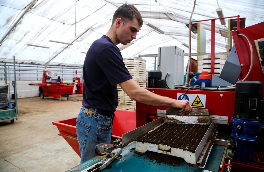 Цветы для Москвы: что будет расти летом на клумбах 7 фото