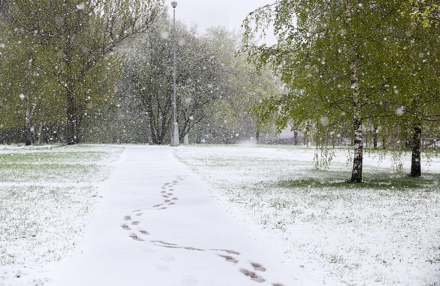 Весенний снегопад в Москве. Фото 44 фото