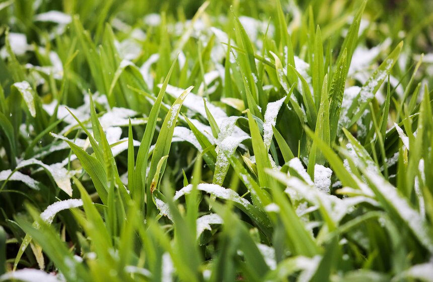 Весенний снегопад в Москве. Фото 15 фото