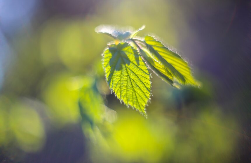 Весна в столице. Фото 16 фото