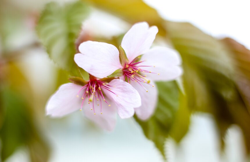 Весна в столице. Фото 10 фото