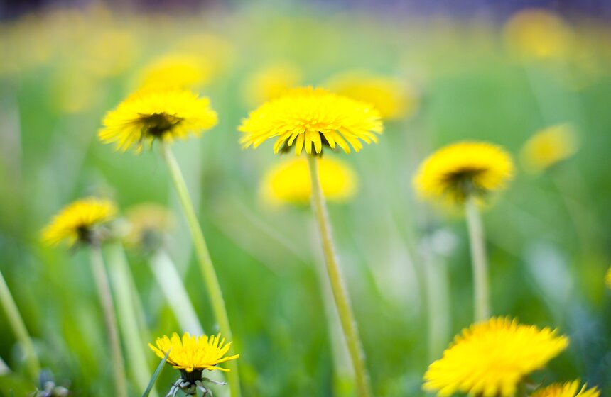 Весна в столице. Фото 9 фото