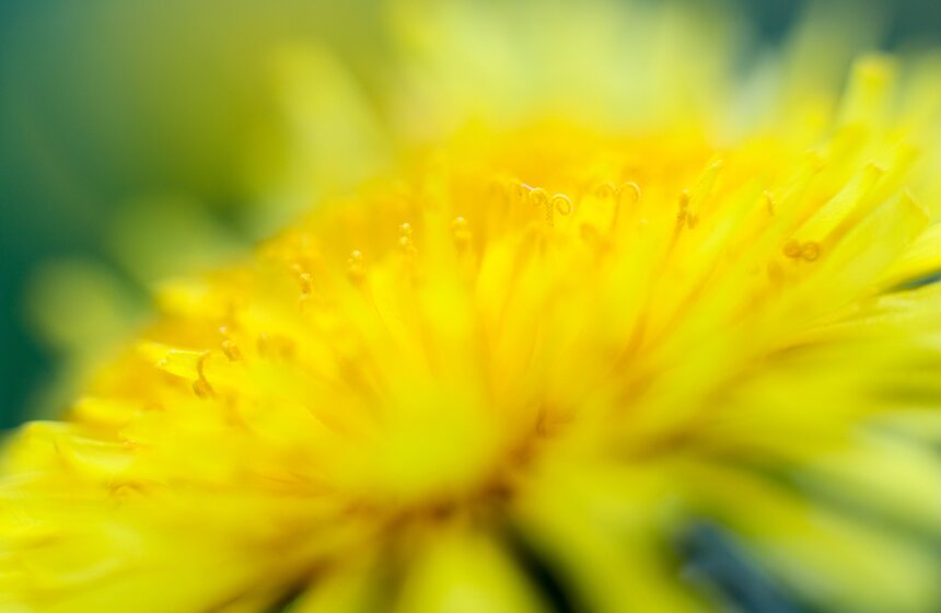 Весна в столице. Фото 8 фото