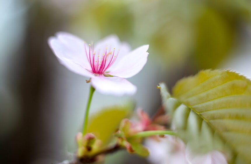 Весна в столице. Фото 11 фото