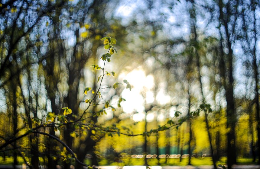 Весна в столице. Фото 14 фото