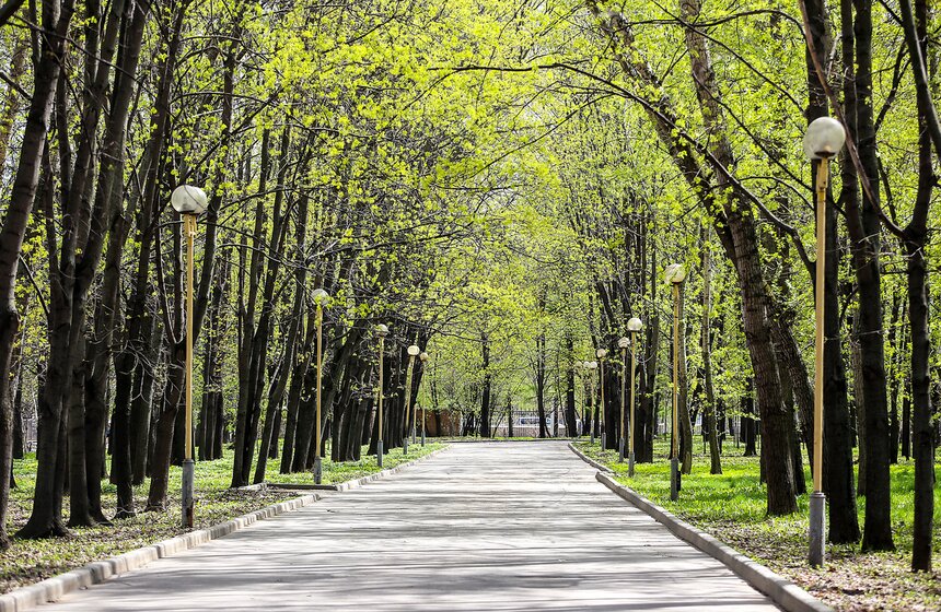 Весна в столице. Фото 13 фото