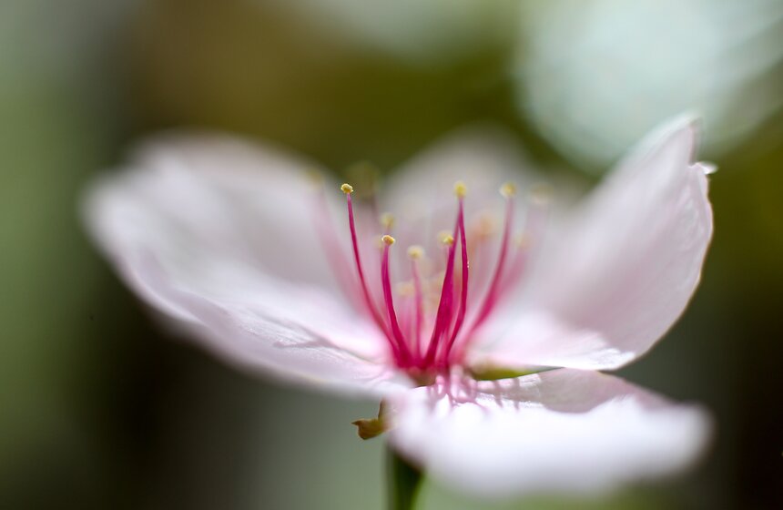 Весна в столице. Фото 12 фото