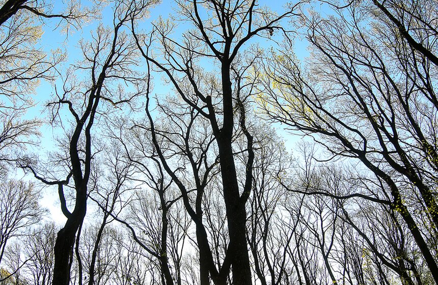 Весна в столице. Фото 15 фото