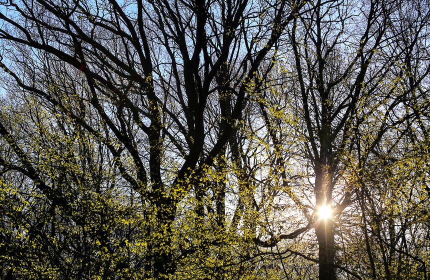 Весна в столице. Фото 18 фото