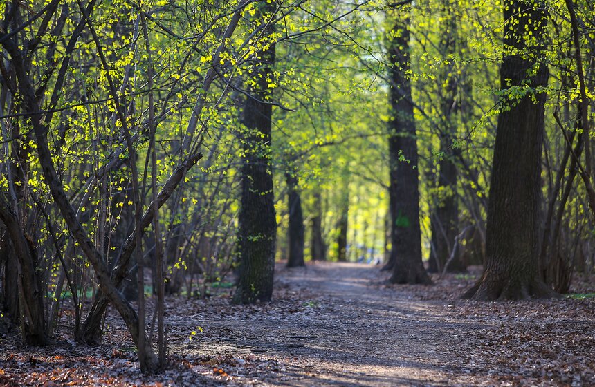 Весна в столице. Фото 17 фото