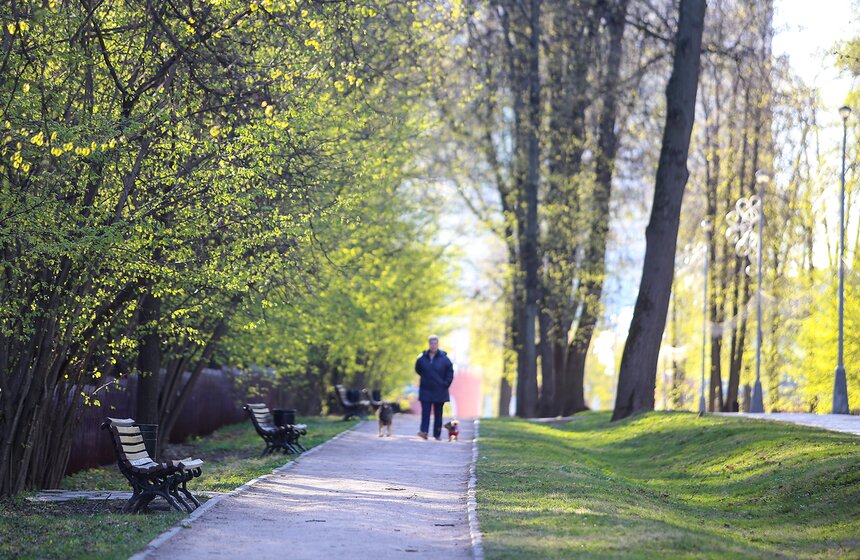 Весна в столице. Фото 19 фото
