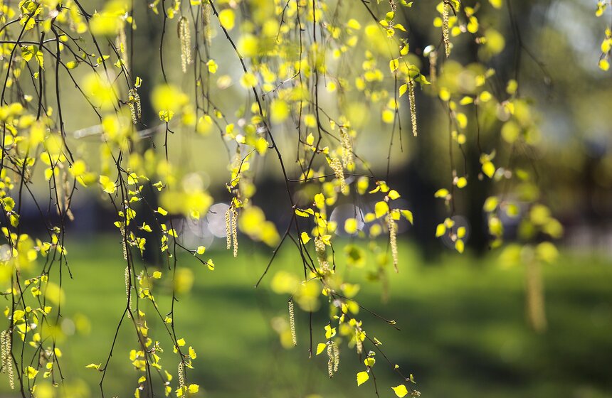 Весна в столице. Фото 20 фото