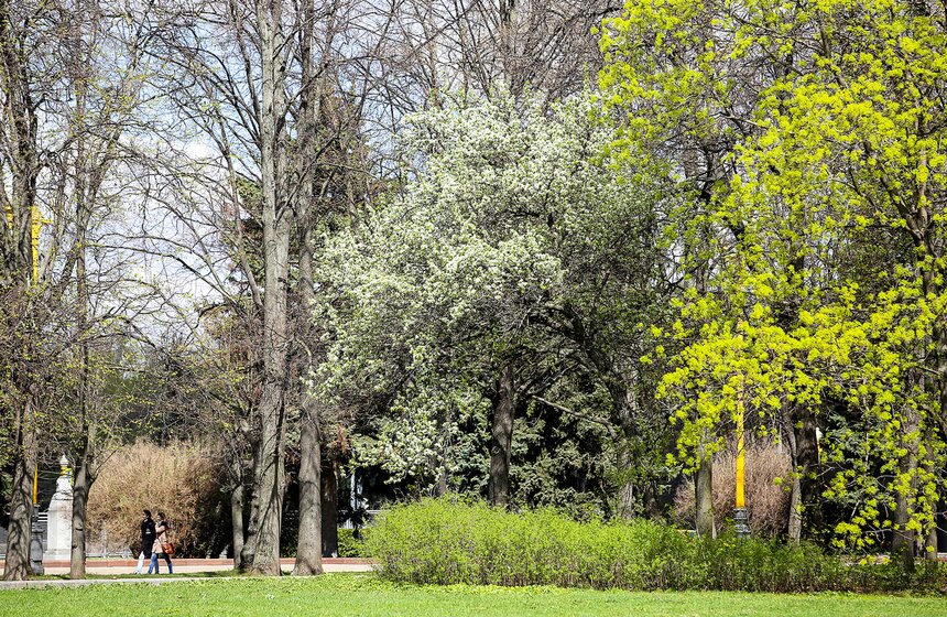 Весна в столице. Фото 7 фото