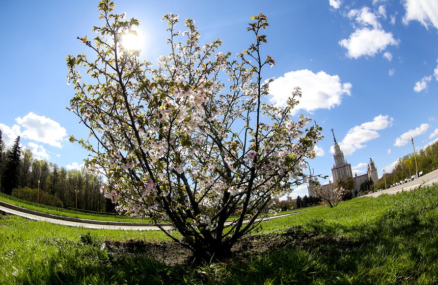 Весна в столице. Фото 2 фото