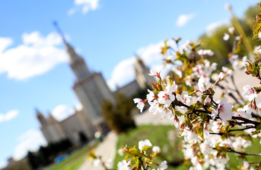 Весна в столице. Фото 1 фото