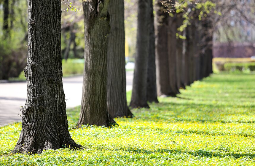 Весна в столице. Фото 5 фото