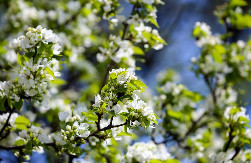 Весна в столице. Фото 6 фото