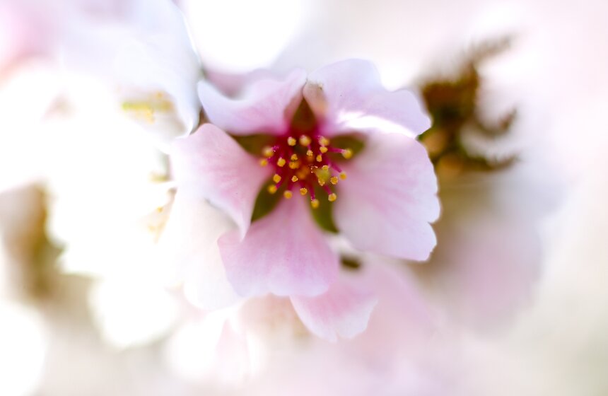 Весна в столице. Фото 37 фото