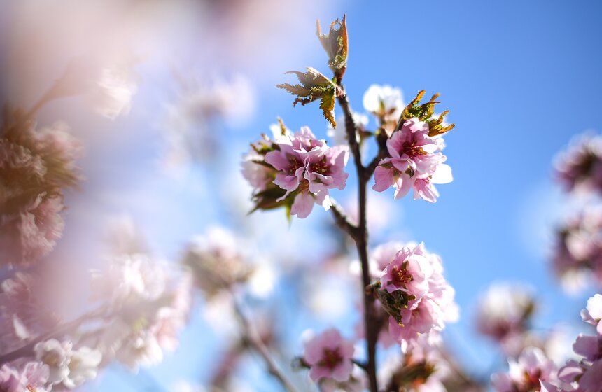 Весна в столице. Фото 38 фото