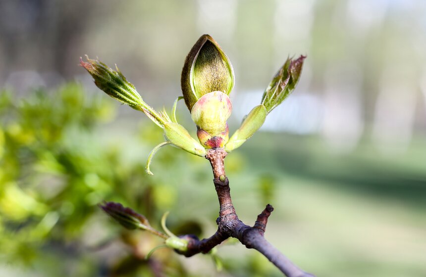 Весна в столице. Фото 22 фото