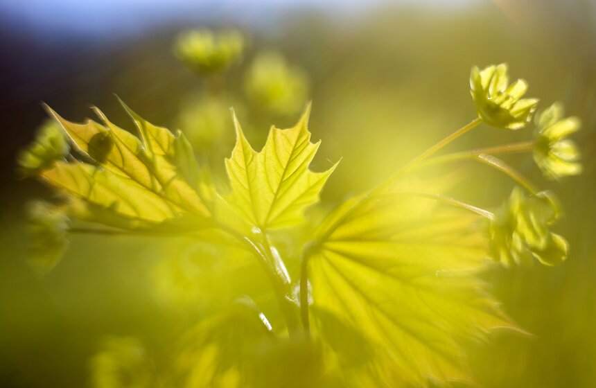 Весна в столице. Фото 21 фото