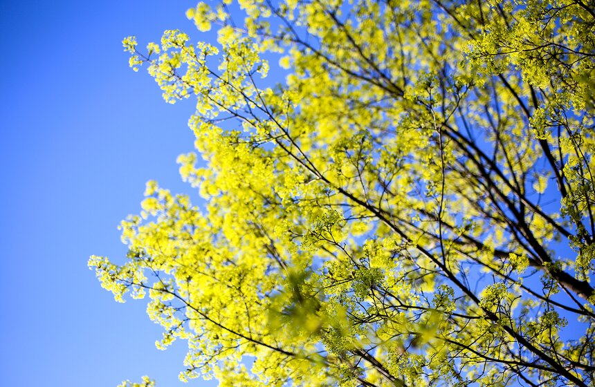 Весна в столице. Фото 23 фото