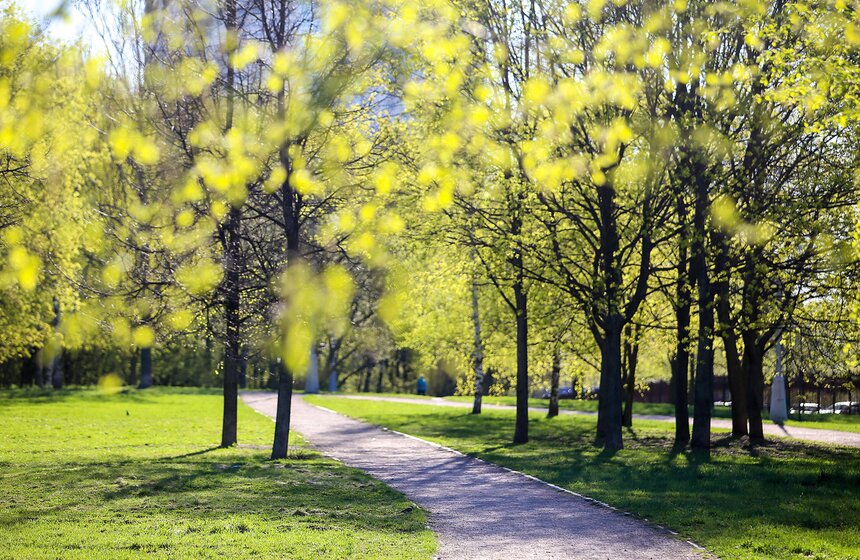 Весна в столице. Фото 26 фото