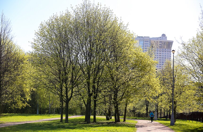 Весна в столице. Фото 24 фото