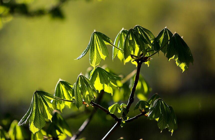 Весна в столице. Фото 27 фото