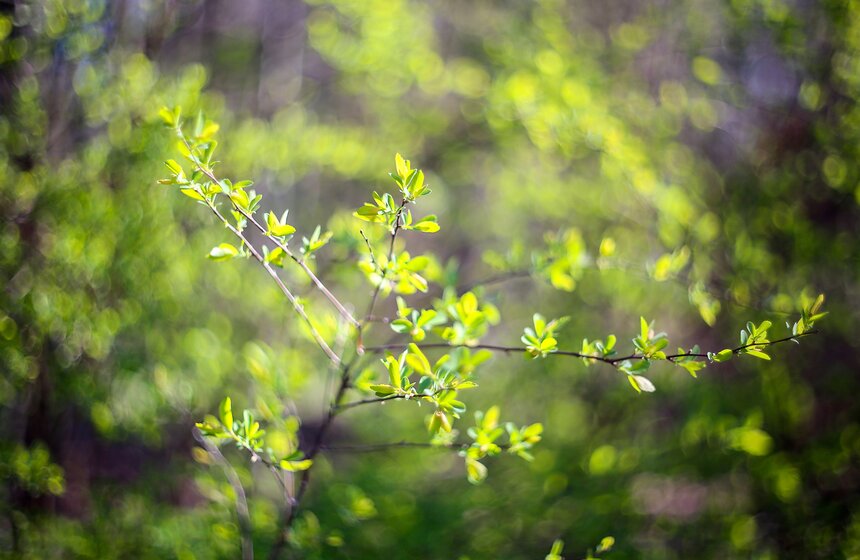 Весна в столице. Фото 35 фото