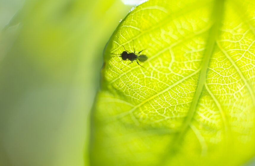 Весна в столице. Фото 30 фото