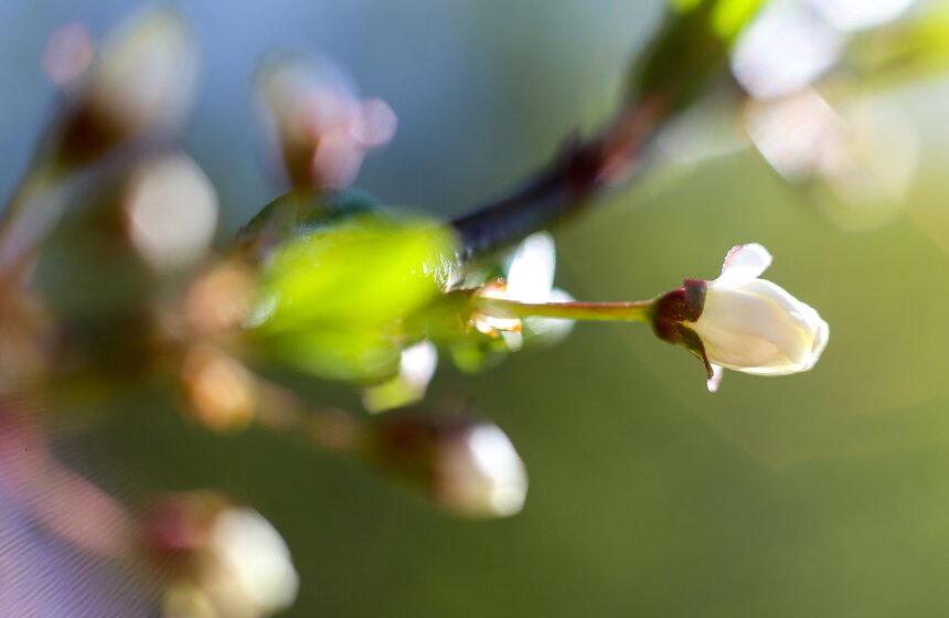 Весна в столице. Фото 29 фото