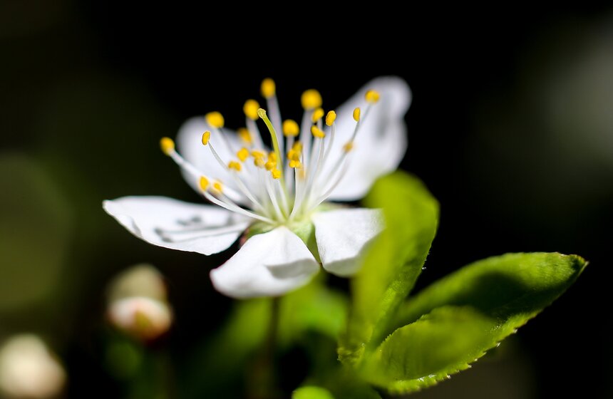 Весна в столице. Фото 28 фото