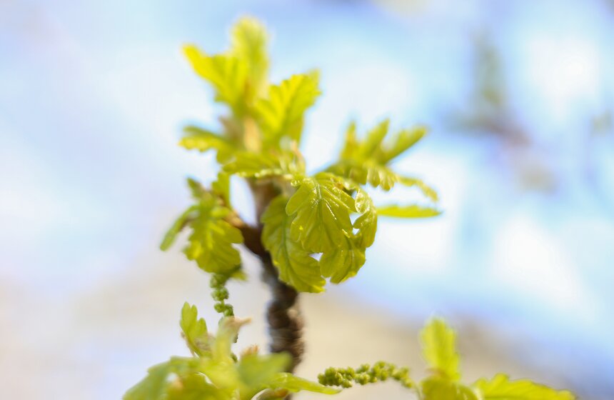 Весна в столице. Фото 33 фото