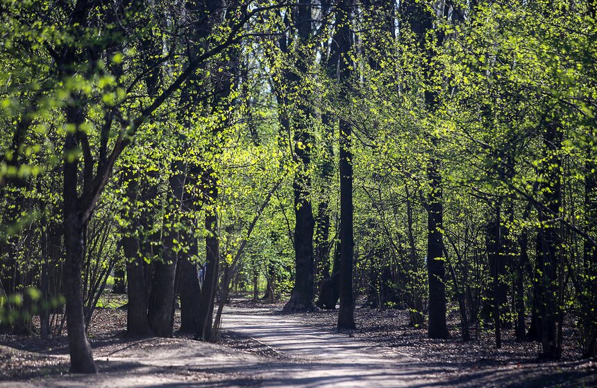 Весна в столице. Фото 32 фото