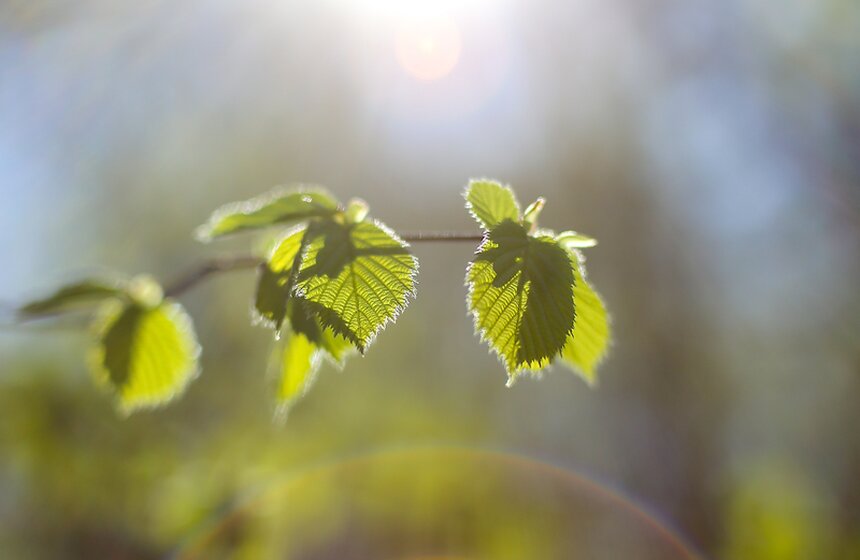 Весна в столице. Фото 34 фото