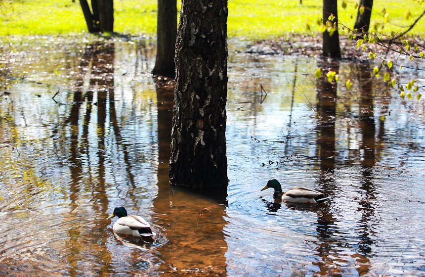Снежная московская весна. Фото 21 фото
