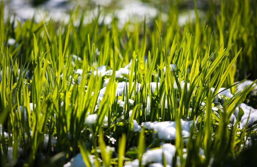 Снежная московская весна. Фото 11 фото