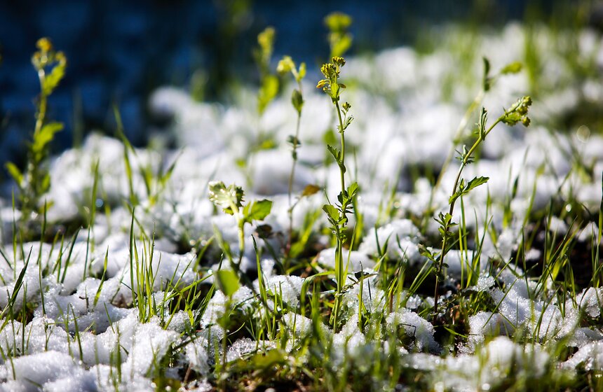 Снежная московская весна. Фото 9 фото