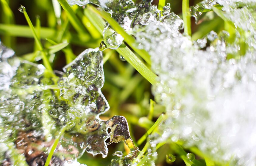 Снежная московская весна. Фото 19 фото