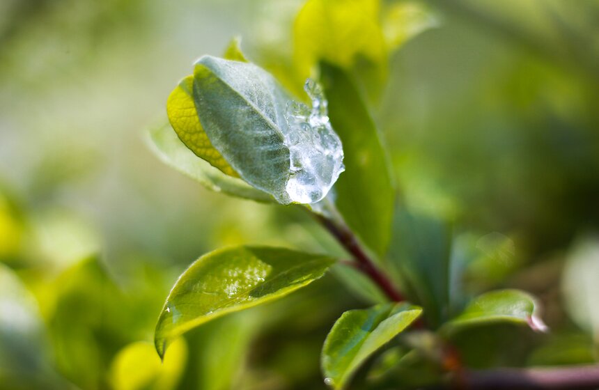 Снежная московская весна. Фото 20 фото
