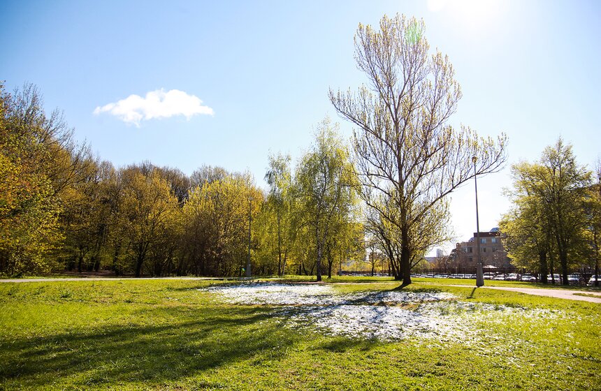 Снежная московская весна. Фото 16 фото