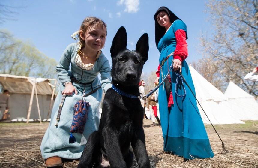 Рыцарский турнир Святого Георгия. Фоторепортаж 15 фото