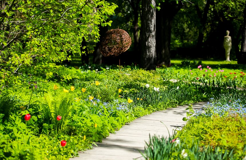 Весна в "Аптекарском огороде". Фото 17 фото